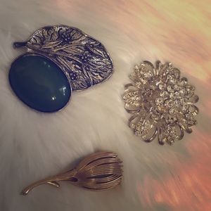 Brooch jewelry